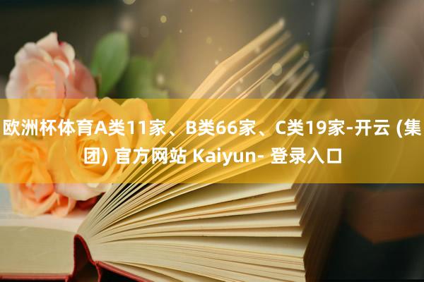 欧洲杯体育A类11家、B类66家、C类19家-开云 (集团) 官方网站 Kaiyun- 登录入口